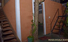 Pidurangala Hostel