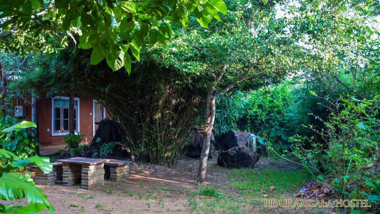 Pidurangala Hostel Sigiriya Exterior photo